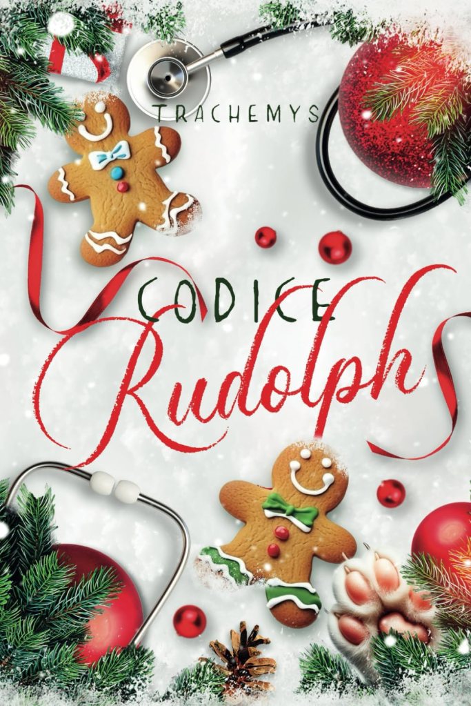 Copertina del libro Codice Rudolph romanzo romance m/m