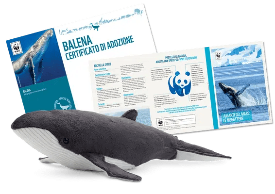 Kit adozione balena wwf
