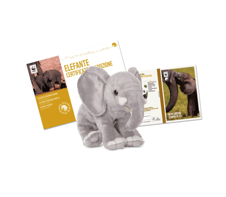 Immagine kit adozione elefante wwf