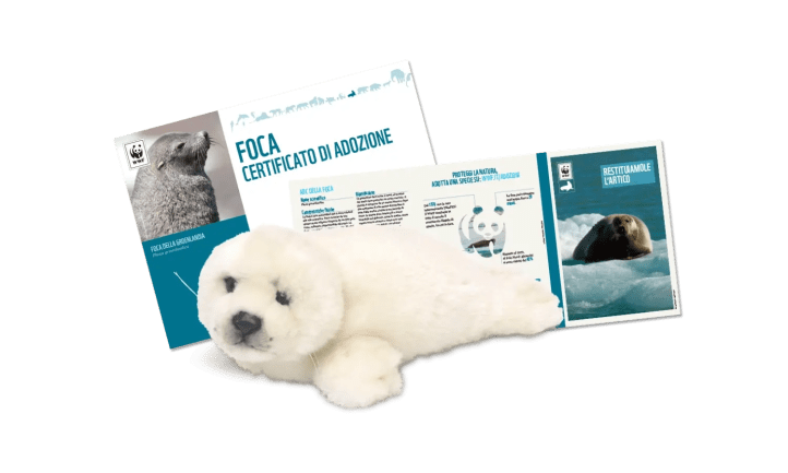 Kit adozione foca wwf