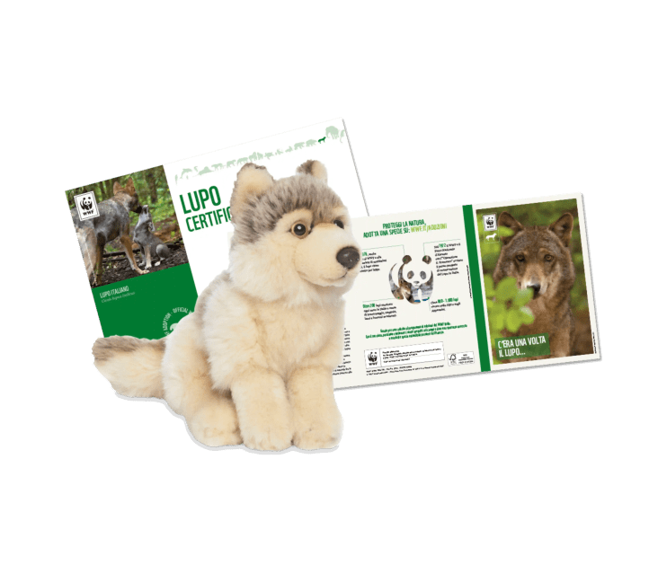 Adozione lupo wwf