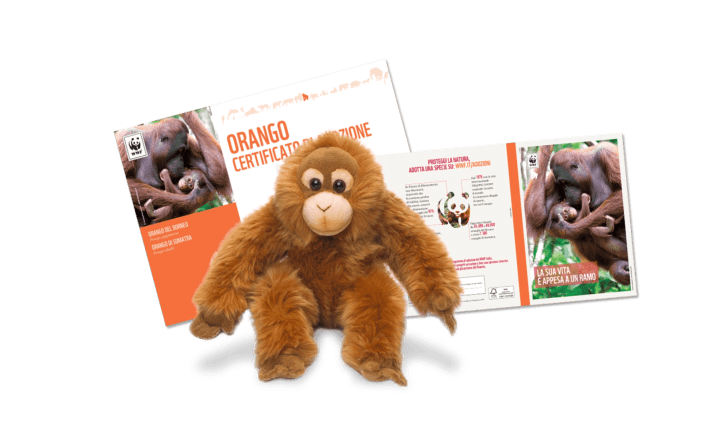 Kit adozione orango wwf