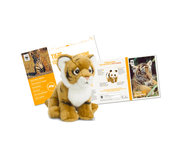 Kit adozione tigre wwf