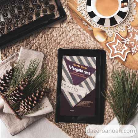 Copertina del libro Triangolo rosa di Jean Le Bitoux