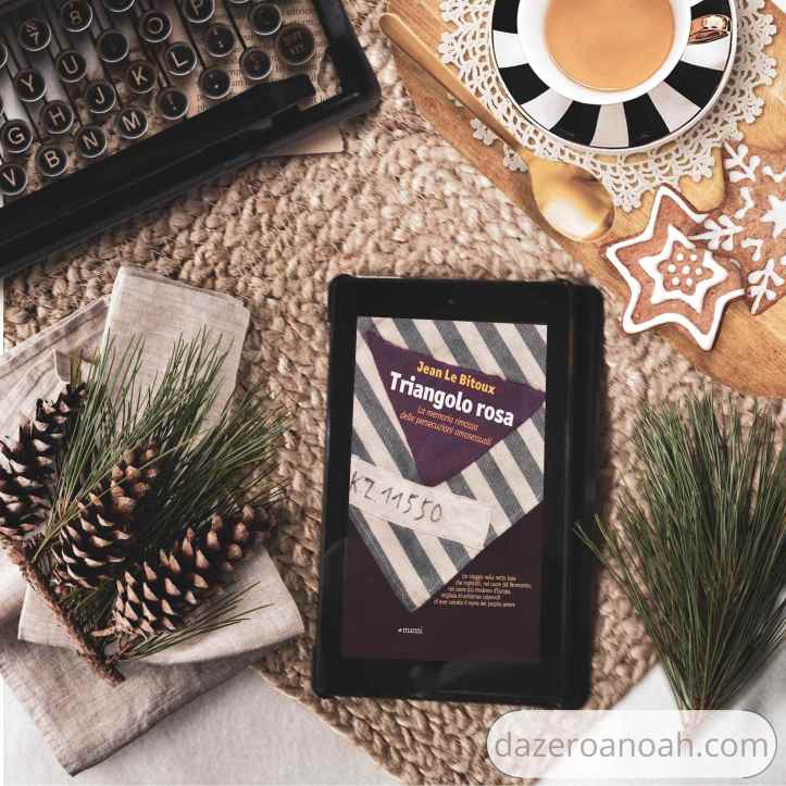 Copertina del libro Triangolo rosa di Jean Le Bitoux