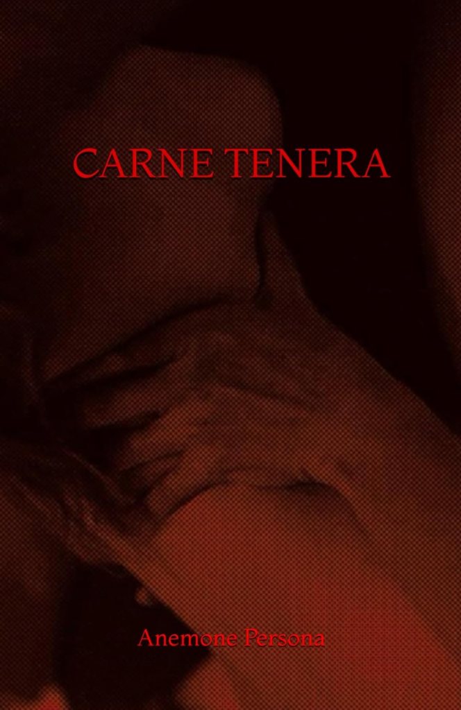 Copertina del libro Carne in chiesa letteratura LGBTQ+